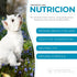 Nutrition Hypoallergenic Shampoo for Pets, Fur Cleanse & Hydration, Vegan & Paraben-Free, 10.1fl oz