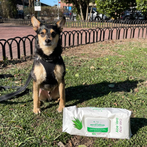 Best Pet Supplies Dog Wipes - Hypoallergenic, Deodorizing, Cleaning Wipes for Dogs, 400 Pack with Hydrating Aloe Vera