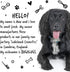 Dog Shampoo by Bugalugs, Lavender & Chamomile 4 in 1 Grooming Shampoo for Smelly Dogs, Vegan
