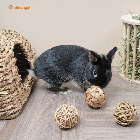 Niteangel Small Animal Activity Toy, Fun Pet Balls for Chinchilla, Guinea Pig, Rats, Rabbits, and Other Small Animals