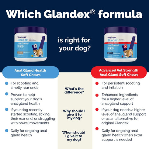 Vetnique Glandex Anal Gland Soft Chew Treats for Dogs, Peanut Butter Chews, 60 Count