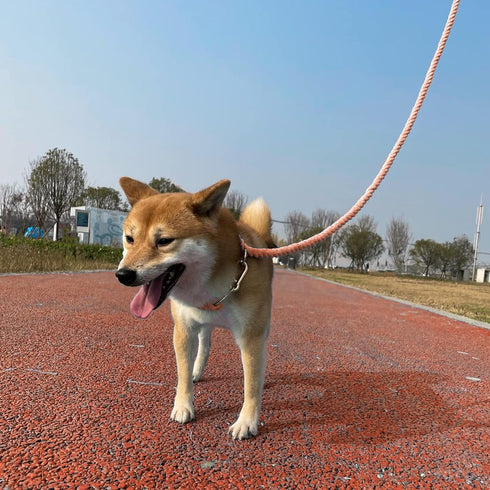 5FT Ombre Cotton Dog Leash - Heavy Duty Braided Training Leash with Comfortable PU Leather Handle for Small, Medium &