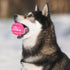 Best Pet Supplies Squeaky Tennis Toys for Dogs, 8-Pack, Heavy-Duty Interactive Fetching Toys