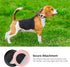 2022 Airtag Cat Collar Holder, Small 2Pack Waterproof Case Compatible with Apple Airtag GPS Tracker for Pet Collar