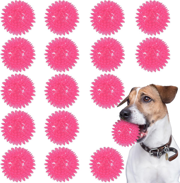 16 Pack Squeaky Dog Balls - 2.5'' Spiky TPR Rubber Balls for Teething, Interactive Fetch Toys for Small and Medium Dogs