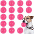 16 Pack Squeaky Dog Balls - 2.5'' Spiky TPR Rubber Balls for Teething, Interactive Fetch Toys for Small and Medium Dogs