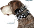 Buckle-Down Diagonal Buffalo Plaid Black/White Plastic Clip Collar, Large/15-26" PC-W30433-L