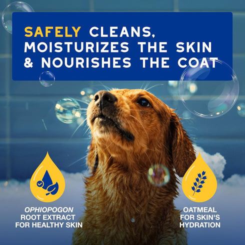 16 oz, DOUXO Skin & Coat SPA - Ultra-Safe Oatmeal Dog Shampoo, fl Cleans and Deeply Hydrates The Skin, Leaves The Coat