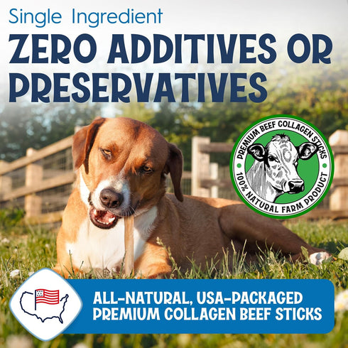 12" 10 Pack Collagen Sticks for Dogs Low Odor Long-Lasting Bully Stick & Rawhide Alternative, Single Ingredient Beef