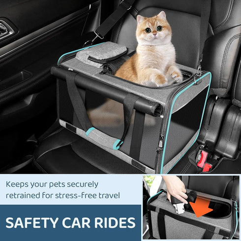Cat Carrier, Airline Approved Soft-Sided Travel Bag for Medium Cats 15+ lbs & Small Dogs, Underseat Cabin L
