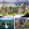 Unocho Dragon Stone Rock - 10 LB Aquariums Decoration for Aquascaping and Landscaping