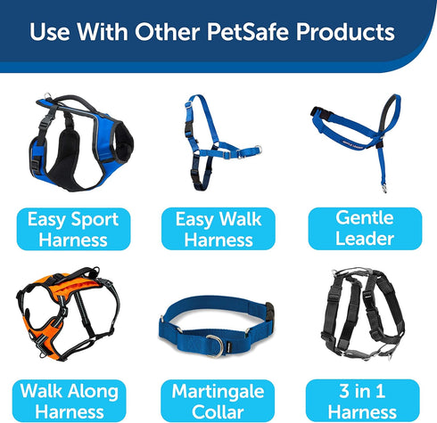 PetSafe Nylon Dog Leash, Royal Blue 1 in. x 6 ft. - Strong, Durable, Traditional Style with Easy to Use Bolt Snap