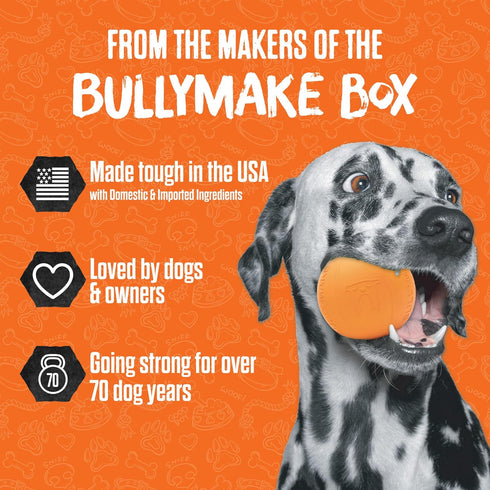 BULLYMAKE Blue Tough Chew Controller Toy for Dogs, Durable Nylon Dog Toys for Aggressive Chewers, Dental Stimulating