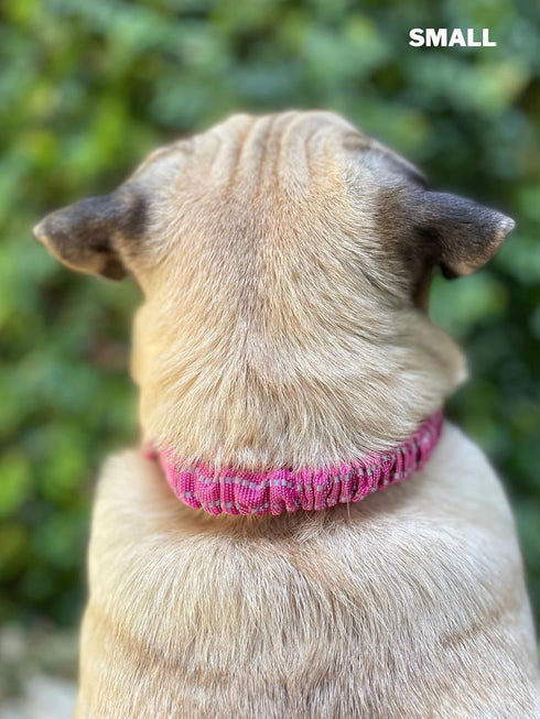 Heavy Duty Dog Collar with Handle | Ballistic Nylon Padded Reflective Collar with Adjustable Stainless Steel Hardware
