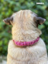 Heavy Duty Dog Collar with Handle | Ballistic Nylon Padded Reflective Collar with Adjustable Stainless Steel Hardware