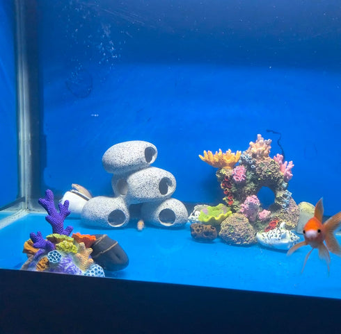 Aquarium Rock Decorations Resin Cichlids Rock with Betta Cave, Betta Fish Tank Accessories for Hiding
