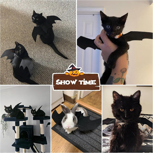 Pet Cat Bat Wings Halloween Costume, Bat Wings for Cats and Dogs, Puppy Kitten Cosplay Dress Up Accessories