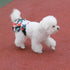 3 Pack Reusable Dog Diapers Female Washable Premium Highly Absorbent Doggie Diapers, Flexible Puppy Diapers, Durable