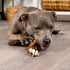 5" 50 Count/1 Pack Pet Factory American Beefhide Chip Rolls Dog Chew Treats - Beef & Chicken Flavor