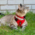 Voyager Step-in Lock Adjustable Cat Harness with 5ft Leash, Supports Small to Large Cats, Red, XXS