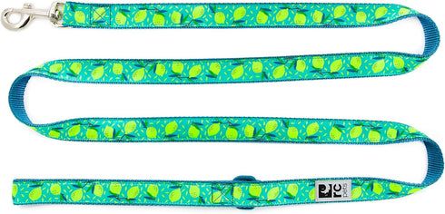 RC Pets 1" x 6' Dog Leash, Lemonade