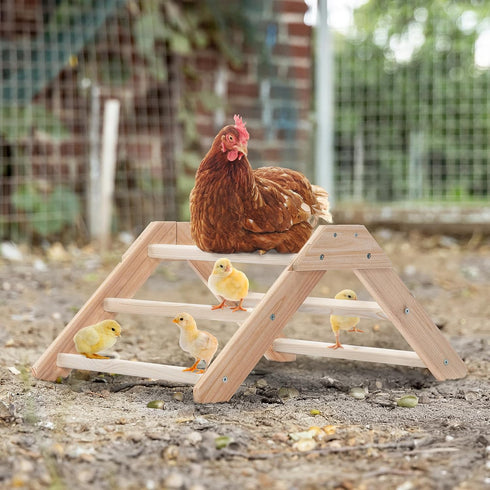 PETSFIT Chick Perch Prevent Rotation Design, Strong Wooden Chicken Roosting Bar, Easy to Assemble and Clean, Fun Toys