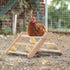 PETSFIT Chick Perch Prevent Rotation Design, Strong Wooden Chicken Roosting Bar, Easy to Assemble and Clean, Fun Toys