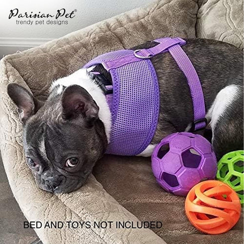 Parisian Pet Girl Dog Harness - Soft Padded Lilac Vest Harness for Medium-Sized Dogs, Cooling for Walking