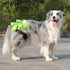 3 Pack Reusable Dog Diapers Female Washable Highly Absorbent Doggie Diapers, Flexible Doggy Diapers Female, Leak-Proof