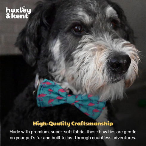 Huxley & Kent Pet Bow Tie for Dogs & Cats - Adjustable Collar Accessory for Holidays & Celebrations, Flamingo, Small