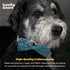 Huxley & Kent Pet Bow Tie for Dogs & Cats - Adjustable Collar Accessory for Holidays & Celebrations, Flamingo, Small