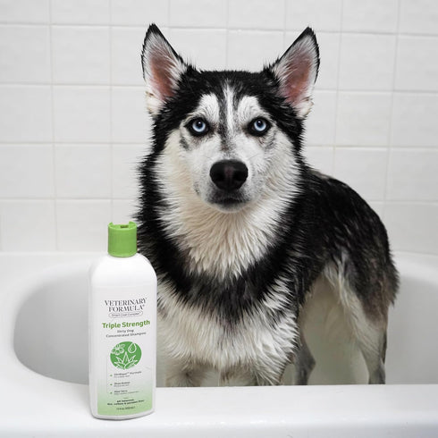 Veterinary Formula Smart Coat Complex Triple Strength Dirty Dog Shampoo - 17 Fl oz with DirtRepel Tech for Extra Dirty