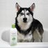 Veterinary Formula Smart Coat Complex Triple Strength Dirty Dog Shampoo - 17 Fl oz with DirtRepel Tech for Extra Dirty