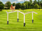 Neeenn Large Chicken Perch Toy for Coop, Wooden Chick Perch Stand with Metal