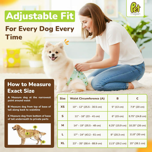 (3-Pack) (10-12 Pet Magasin Super Absorbent Reusable Dog Diapers for Females - Ideal Heat Solution, Washable Doggie
