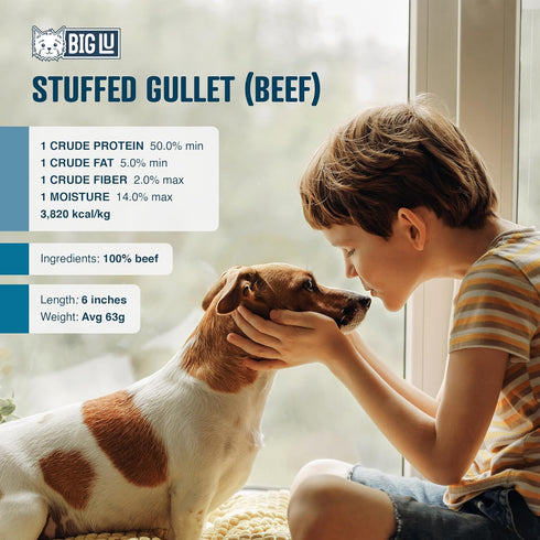 Big Lu Stuffed Gullet Dog Treats - Premium 100% Beef, All-Natural Chews, High Protein, 6-Inch Sticks (20 Sticks)
