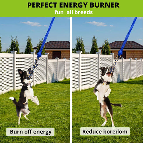 Dog Hanging Bungee Tug Toy - Interactive Tether Tug-of-War for Small to Large Dogs - Outdoor Tree Tugger with Ropes