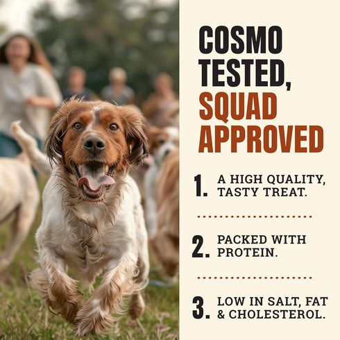 Cosmo's Snack Shack (24 Count Pack 1) Pork Meat Sticks for Dogs - Savory Flavor - All Natural Dog Treat - Made in USA