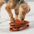 Brightkins Touchdown Time! Interactive Dog Puzzle Toys - Gifts for Dogs, Treat Puzzle