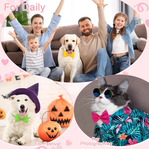 240 Pcs Dog Bow Ties with Adjustable Collar, 20 Colors for Small Medium Pets, Grooming Bowties for Gifts