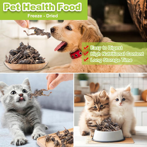 Freeze Dried Dogs Cats Treats, Little Quail Natural Dog Treats, Cat Delicious Snacks, Healthy Easy Digestion Pet Food