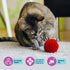 SPOT Wool Pom Poms Cat Toy - Interactive Catnip Wool Balls for Cats and Kittens to Bite, Swat and Chase, 4 pcs, 1.5 inch