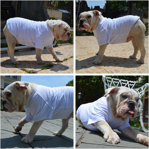 Lovelonglong Pet Clothing Basic Blank T-Shirt Tee for Small Dogs - White, Size L