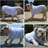 Lovelonglong Pet Clothing Basic Blank T-Shirt Tee for Small Dogs - White, Size L