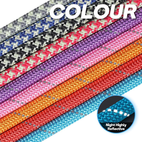 Grand Line Slip Lead Dog Leash - 5FT Reflective Slip Rope for Puppy Training, Purple, Small (1/4in x 5ft)
