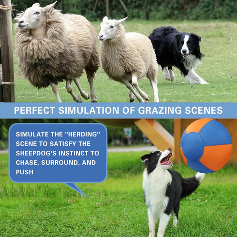Stcohyz 18'' Herding Ball for Dogs, Durable Waterproof Jolly Ball for Dogs, Dog Training Toy for Medium & Large Breeds