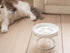 Slow Feeder Cat Bowl, Ceramic Elevated Cat and Dog Food Bowls with Metal Stand, Promotes Healthy Eating, Cute Pet Bowl