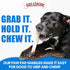 Bullibone XL Nylon Dog Chew Toy - 3 Pack Peanut Butter Flavor, Improves Dental Hygiene, Easy Grip