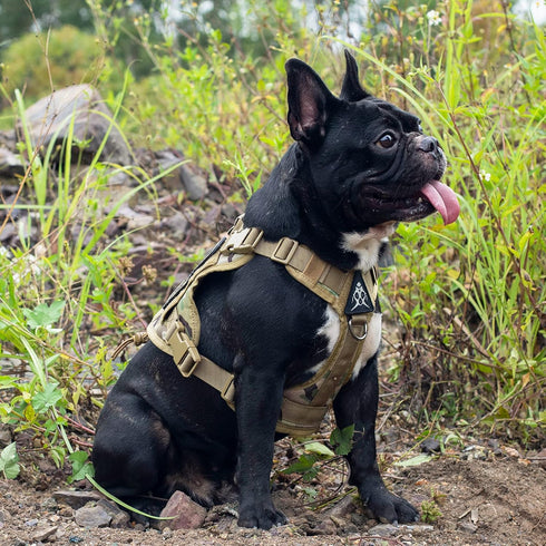 Tactical Dog Harness Vest with Handle, Military No-Pull Vest for Large Medium Dogs, Adjustable for Training and Hiking