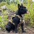 Tactical Dog Harness Vest with Handle, Military No-Pull Vest for Large Medium Dogs, Adjustable for Training and Hiking